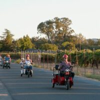 Trikke Tours