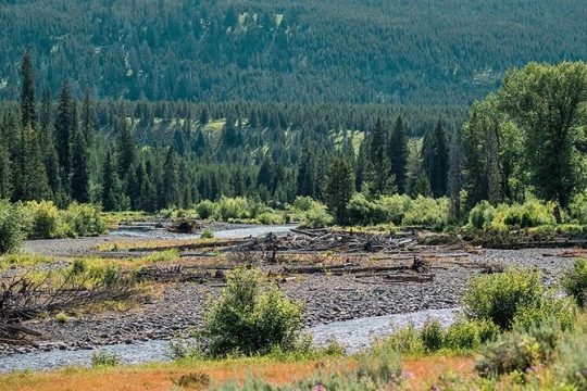 Lamar River Valley Day Hike Tour