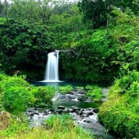 Shore Excursions
