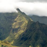 Eco Tours