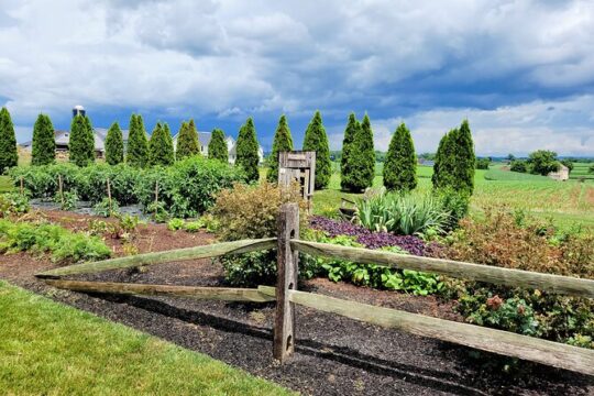 Unique Amish Immersion in Lancaster