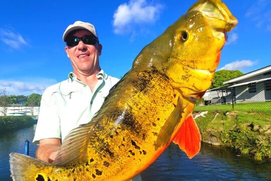 8 Hour Peacock Bass Fishing Trip Near Palm Beach