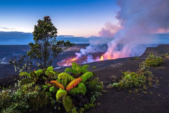 Day Trip from Oahu to Hilo: Active Volcanoes