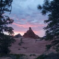 Private & Custom Tours