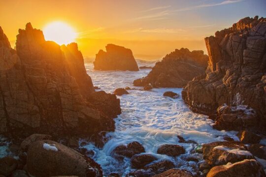 Scenic 17-Mile Drive Tour - Self Drive Audio Guide from Monterey & Carmel