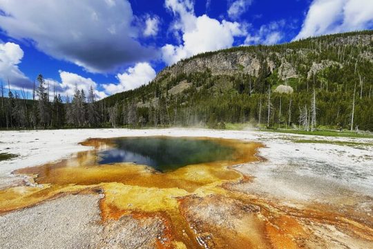 Epic Yellowstone Private Tour