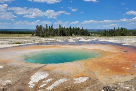 Lower Loop Yellowstone - Hydrothermal & Wildlife