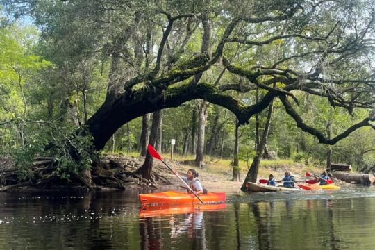 3 Hour Kayaking & Paddle boarding