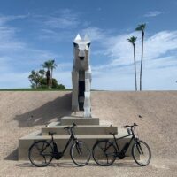 Bike Rentals