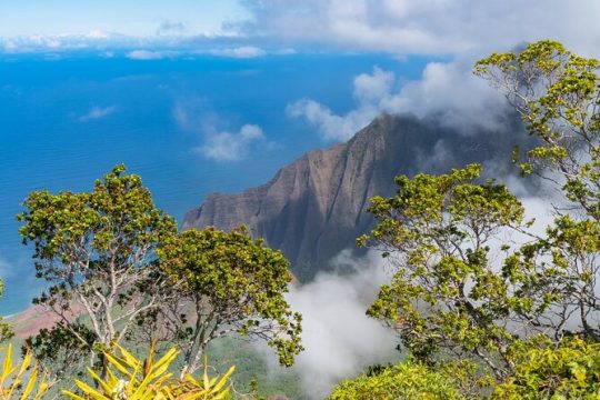 Day Trip from Oahu to Kauai: Movie Adventure