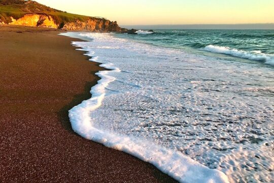 Private Tour of California's Central Coast (San Luis Obispo-Paso Robles-Cambria)