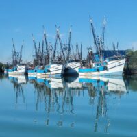 Tours & Sightseeing