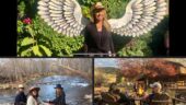 Amazingly Mystical 