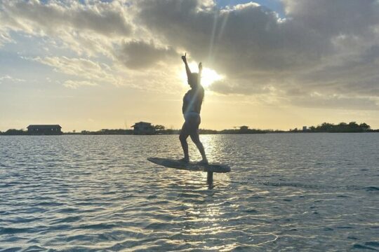 Solo mid length eFoil lesson in Honolulu