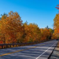 Full-day Tours