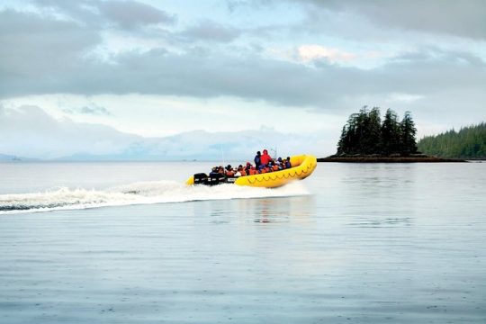 Ketchikan Rainforest Island and Boat Adventure