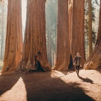 Day Trips & Excursions