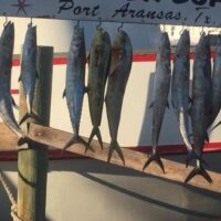 Fishing