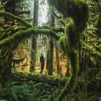 Day Trips & Excursions