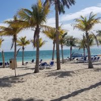 Day Trips & Excursions