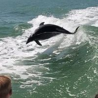 Water Sports