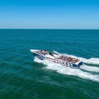Cruises, Sailing & Water Tours