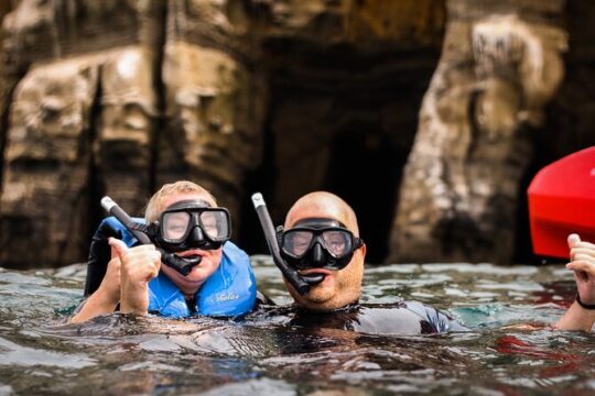 La Jolla Kayak and Snorkel Tour