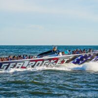 Dolphin & Whale Watching