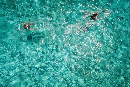 Glass Paddle Pensacola Beach