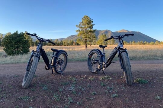 2 Hours Private E-Bike Tours In Northern Arizona