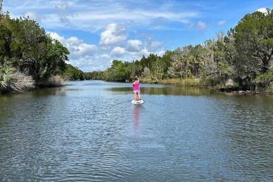 Backland Alligator Electric Paddle Tour