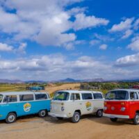 Classic Car Tours