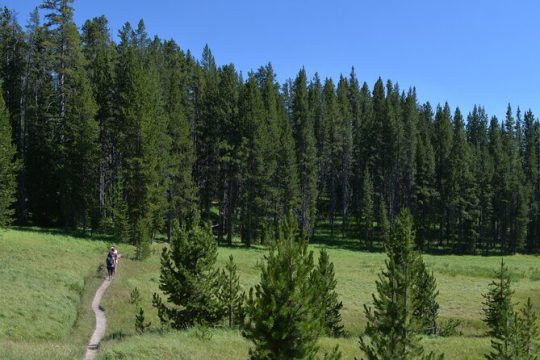 Classic Yellowstone Hike to the Shores of Lake Shoshone (Private up to 8 people)
