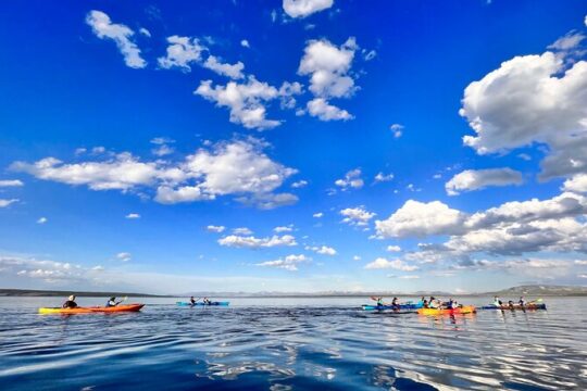 Early Morning Guided Kayak Tour