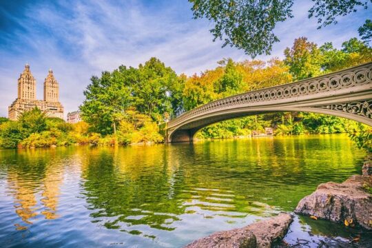 3-Hour Private Guided NYC Central Park Tour with Carrousel Ride