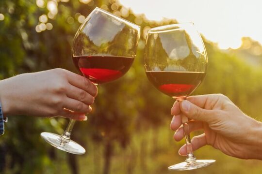 Fine Wineing - A Wine Tasting Experience in the vineyards of the Desert!
