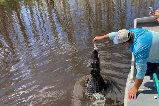 Airboat Swamp Tour with Transportation from New Orleans