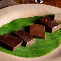 Chocolate Tours