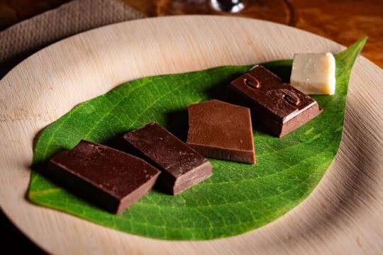 Craft Chocolate Tasting & Tour