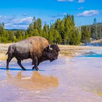 4WD, ATV & Off-Road Tours