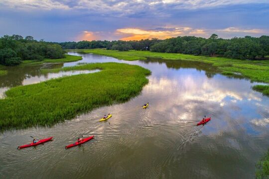2 Hours Shem Creek Safari Kayak Tour