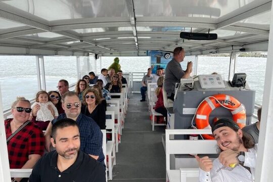 Baywatch Dolphin Tour