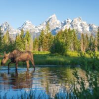 Private Sightseeing Tours
