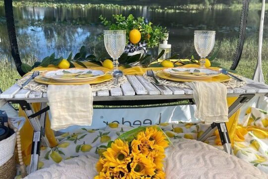 Luxury Picnic Experience at Pedrick Pond Park