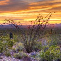 Private & Custom Tours