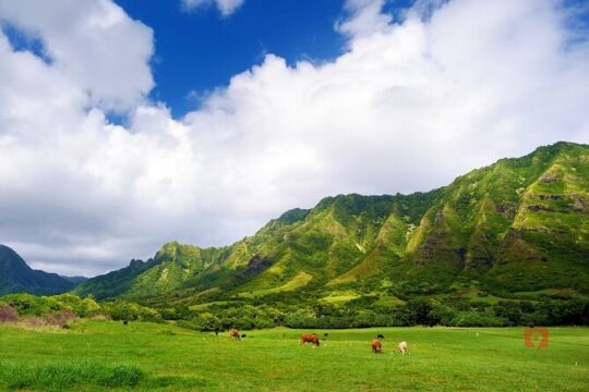 Self-Guided Audio Driving Tour in Oahu Hawaii