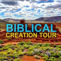 Day Trips & Excursions