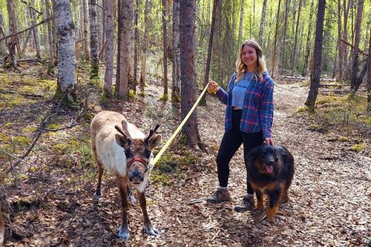 The Reindeer Grove Homestead Tour and Forage