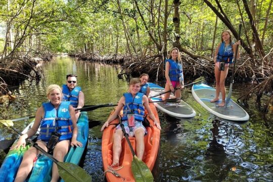 Stand Up Paddle Boarding and Kayaking at Mangrove Jungle