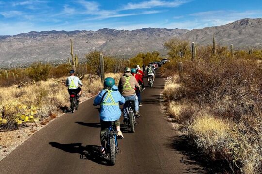 Saguaro National Park East E-Bike Tour